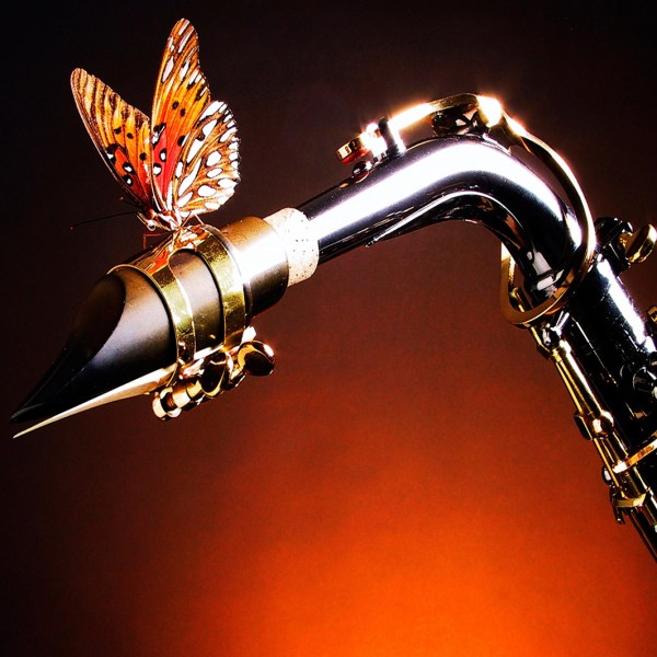 CONCIERTOS DE PRIMAVERA