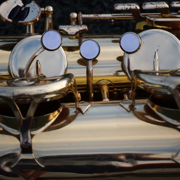 ASISTENCIA AL CONCIERTO DE MARIANO GARCÍA EN EL CSMA