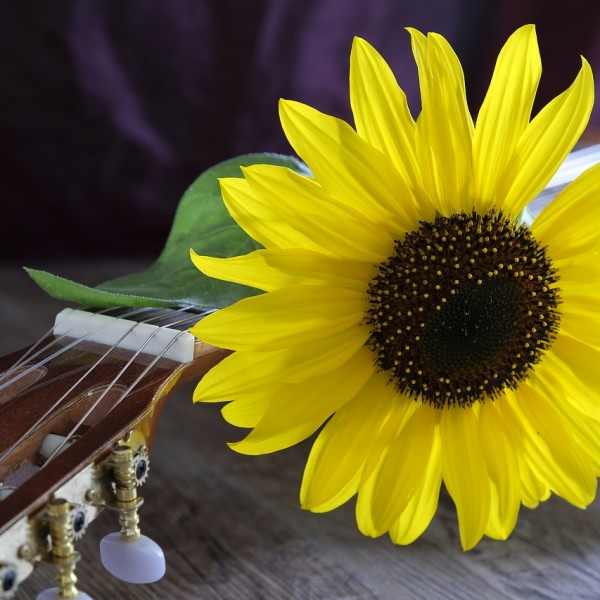 CONCIERTOS DE PRIMAVERA