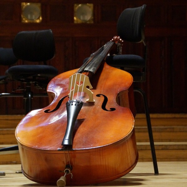 CONCIERTO DE ALUMNOS DE CONTRABAJO