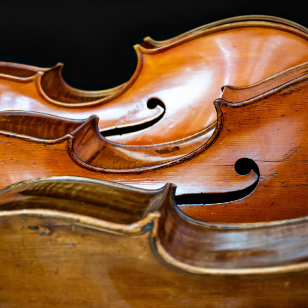 CONCIERTO DE CONTRABAJO, ORQUESTA Y CÁMARA