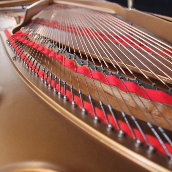 CONCIERTO DE ALUMNOS DE PIANO