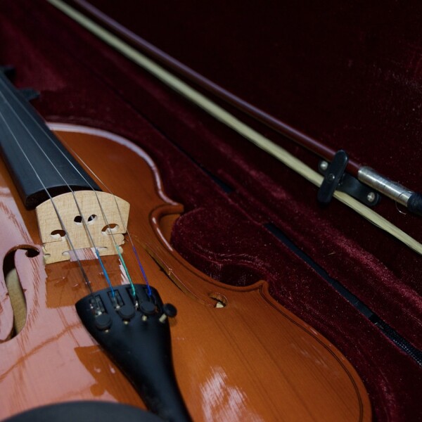 APLAZADO: CONCIERTO DE ALUMNOS DE VIOLA