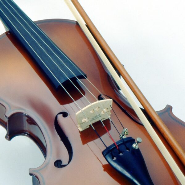 CONCIERTO DE ALUMNOS DE VIOLA