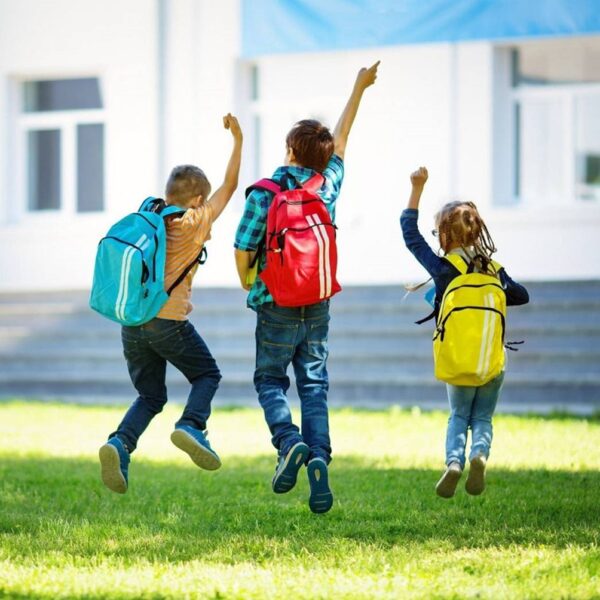EXCURSIONES DE COLEGIOS AL CONSERVATORIO (2ª DE 2)