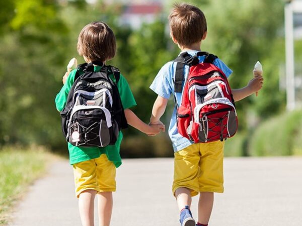 EXCURSIONES DE COLEGIOS AL CONSERVATORIO (1ª DE 2)