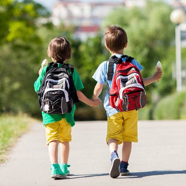 EXCURSIONES DE COLEGIOS AL CONSERVATORIO (1ª DE 3)