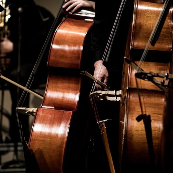 CONCIERTO DE CONTRABAJO Y ORQUESTA