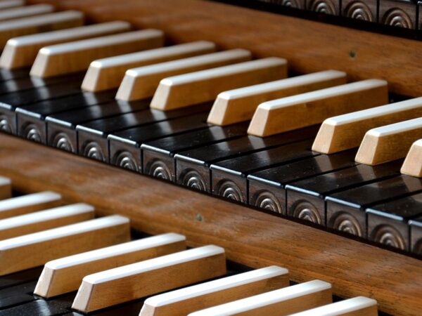 TALLER DE HISTORIA DE LA MÚSICA Y ÓRGANO