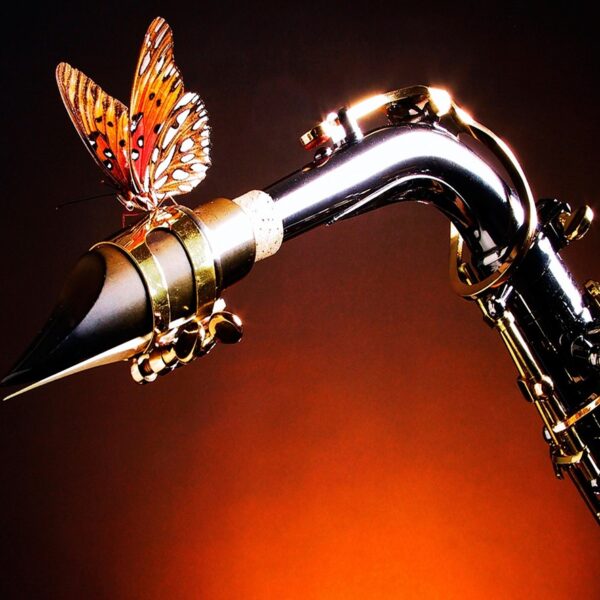 CONCIERTOS DE PRIMAVERA