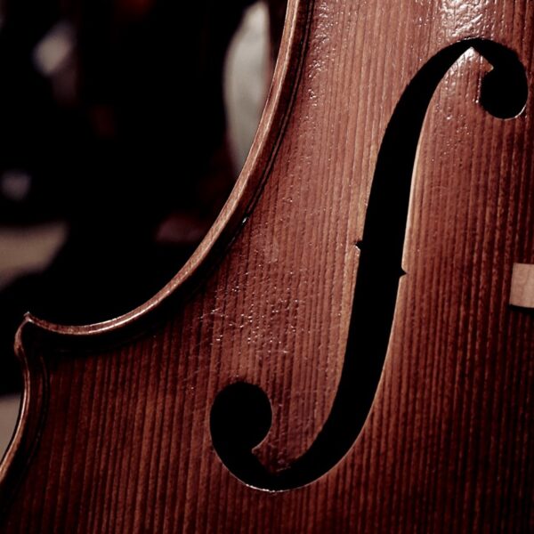 CONCIERTO DE VIOLONCHELO Y CÁMARA