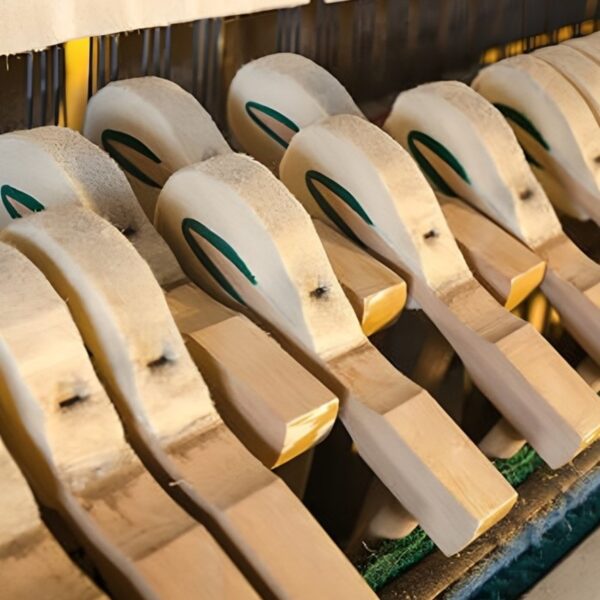 CONCIERTO DE ALUMNADO DE PIANO