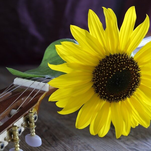 CONCIERTO DE PRIMAVERA