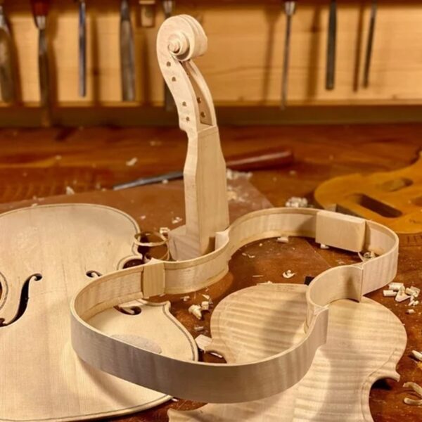 TALLER DE INSTRUMENTOS DE CUERDA FROTADA