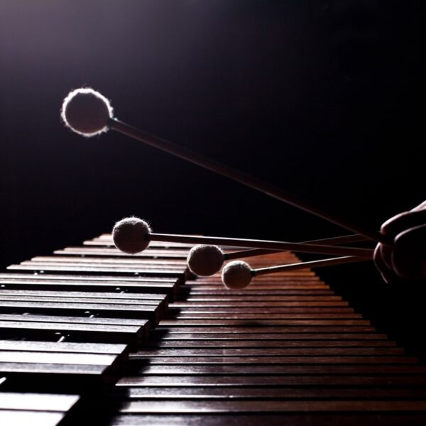 TALLER Y CONCIERTO DE PERCUSIÓN